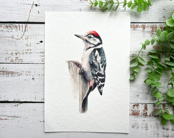 Great spotted woodpecker art print | A4 print, art print, giclee print, bird art, bird print, watercolour print, wall art, wall decor
