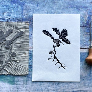 Oak tree sapling A5 lino print | baby plant, acorn, baby oak