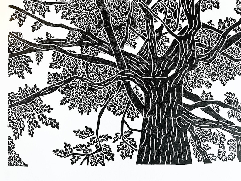A black lino print of an oak tree. The perspective is from standing underneath the tree looking up to the top of it.