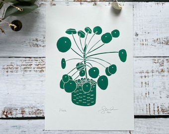 Pilea lino print | chinese money plant, pilea