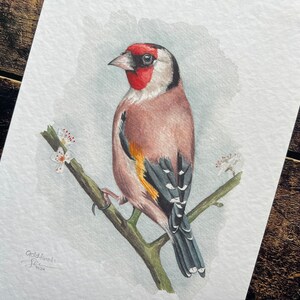 A print of a watercolour goldfinch on a blossoming branch
