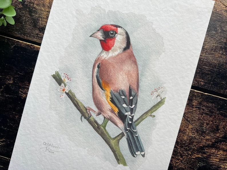 A print of a watercolour goldfinch on a blossoming branch