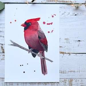 Cardinal watercolour print | art print, bird art, bird print, watercolour print
