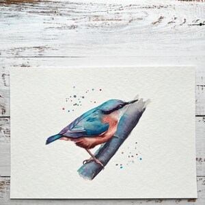 A watercolour print of a Nuthatch bird on a branch, painted very colourfully. Printed onto gorgeous textured archival paper.