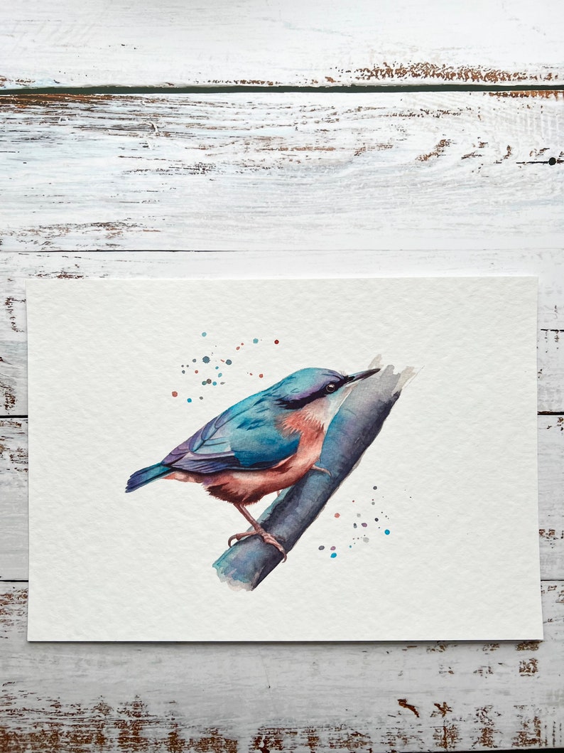 A watercolour print of a Nuthatch bird on a branch, painted very colourfully. Printed onto gorgeous textured archival paper.