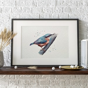 A watercolour print of a Nuthatch bird on a branch, painted very colourfully. Printed onto gorgeous textured archival paper.