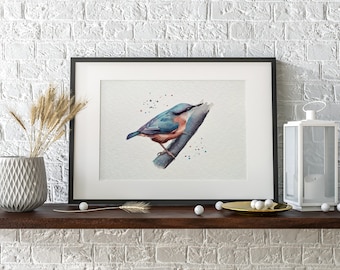 Nuthatch watercolour print | fine art print, watercolour print, bird print, gifts for birders, birding, bird lover, british birds