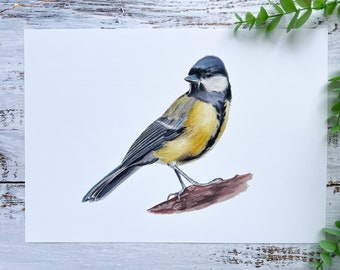 Great tit watercolour print | bird art, bird print, british birds, gifts for bird lovers, gifts for birders, birding gift, art print