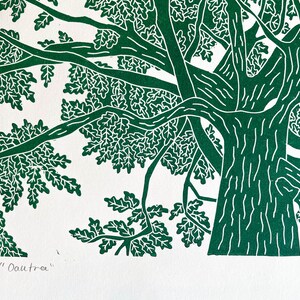 A green lino print of an oak tree. The perspective is from standing underneath the tree looking up to the top of it.
