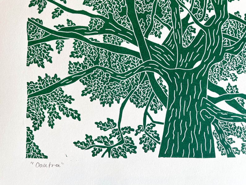 A green lino print of an oak tree. The perspective is from standing underneath the tree looking up to the top of it.