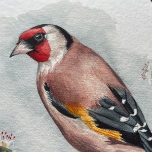 A print of a watercolour goldfinch on a blossoming branch