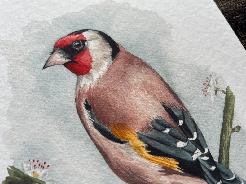 A print of a watercolour goldfinch on a blossoming branch