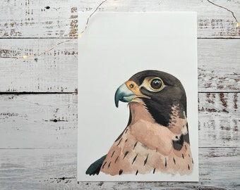 Peregrine falcon print | watercolour, painting, art print, bird art, bird print