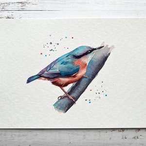 A watercolour print of a Nuthatch bird on a branch, painted very colourfully. Printed onto gorgeous textured archival paper.