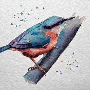 A watercolour print of a Nuthatch bird on a branch, painted very colourfully. Printed onto gorgeous textured archival paper.