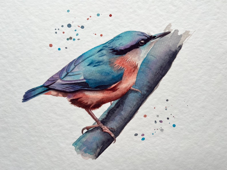 A watercolour print of a Nuthatch bird on a branch, painted very colourfully. Printed onto gorgeous textured archival paper.