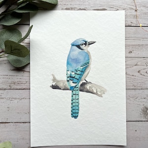 Blue jay watercolour print bird art, bird print, art print, wall art Bild 1