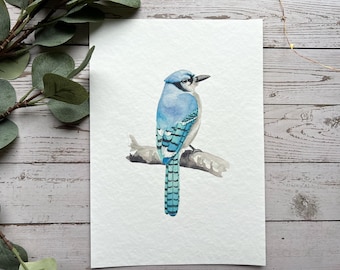 Blue jay watercolour print | bird art, bird print, art print, wall art