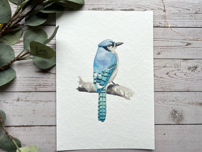 Blue jay watercolour print bird art, bird print, art print, wall art Bild 1