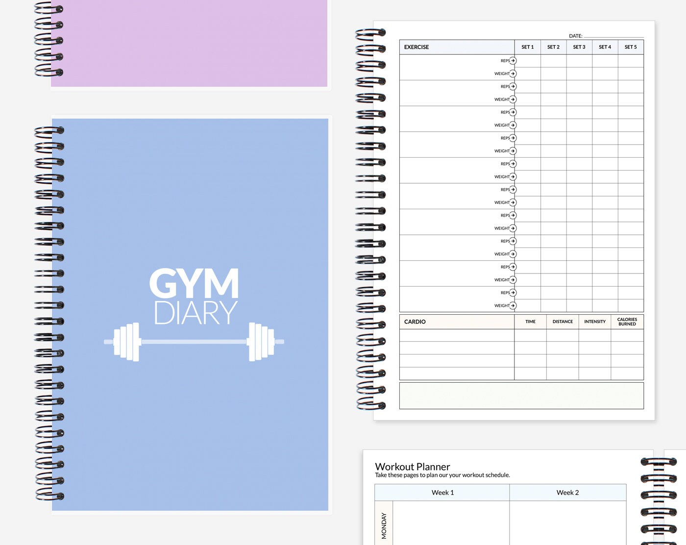 Gym Diary and Workout log book, fitness tracker, cardio, weights, work out  journal diary, exercise planner -  Italia