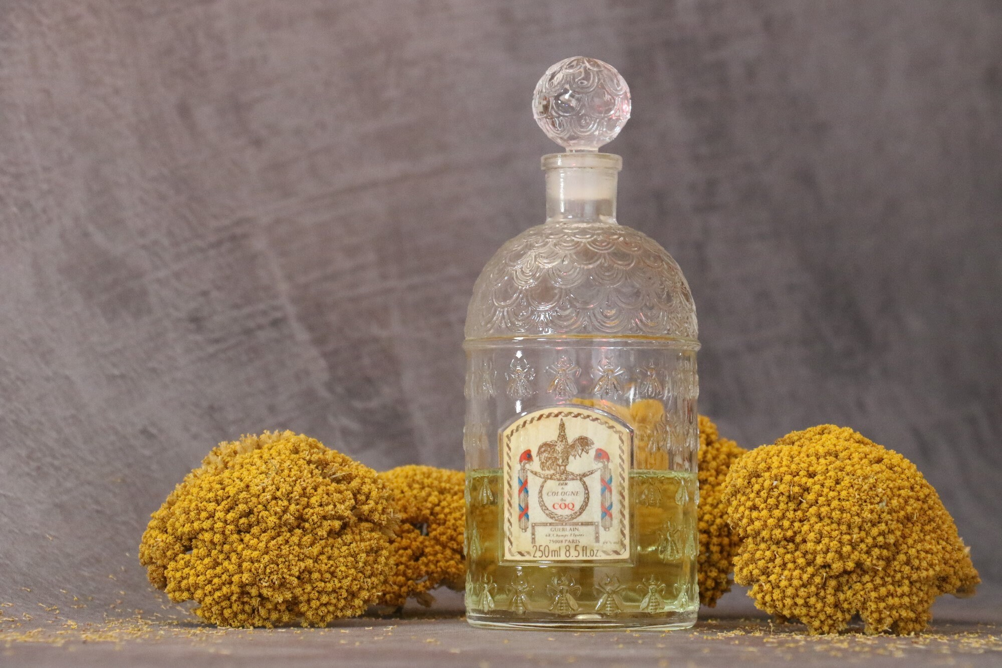 ゲラン アンティーク オーデコロン　インペリアル　ビーボトル　 香水瓶 ゲランインペリアルアンティークビーボトル【パディントン】｜ブロカント