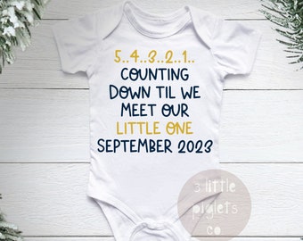 Oudejaarsaankondiging zwangerschap Onesie®, babyaankondiging onthullende rompertje, New Years Pregnancy Reveal, oudejaarsavond, babyaankondiging
