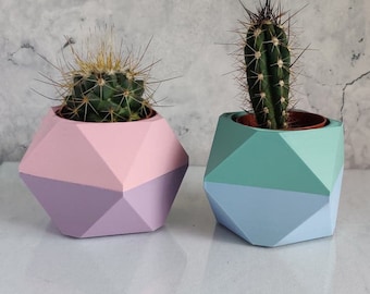 Indoor succulent cactus planter | 3D printed planter | Geometric succulent planter | Mother's Day Gift | Pastel planter | Rose Gold planter