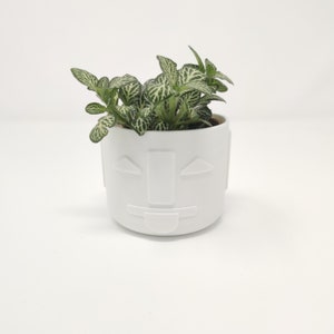 May include: A white ceramic planter shaped like a face with a green leafy plant inside.