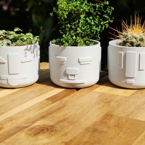 May include: Three white ceramic planters with different face designs. The planters are filled with green plants and are sitting on a wooden surface.