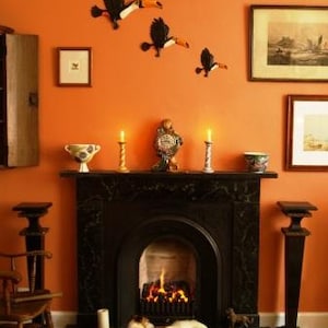 May include: A black fireplace with a fire burning inside. The fireplace is in a room with orange walls and a decorative toucan sculpture on the wall.