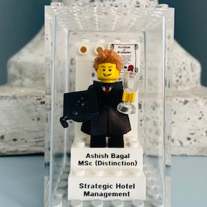 Minifigure cadeau de remise des diplômes personnalisé : université, souvenir d'école