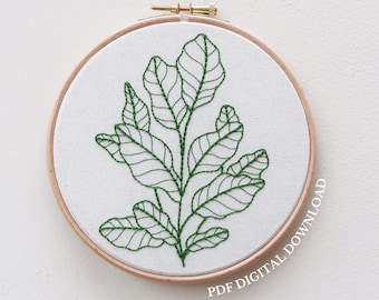 Beginners Botanical - Hand Embroidery Pattern and Tutorial / Guide | Digital Download, PDF | Simple Embroidery | Beginners Embroidery