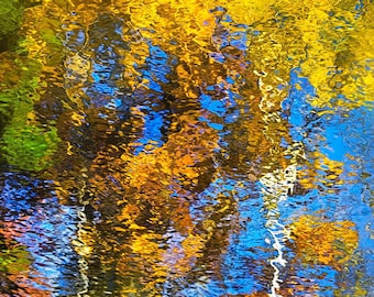 Abstract Tree Reflection Photo Print: Calming Nature Photography, Fall Foliage Wall Art