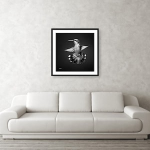 Hummingbird Black and White Art Print, Black and White Bird Photography, Fine Art Hummingbird Photo Prints, Black and White Wall Art Decor image 4