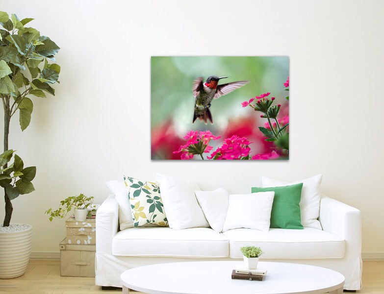 Canvas Wall Art Decor Hummingbird Gifts Wall Art Canvas | Etsy
