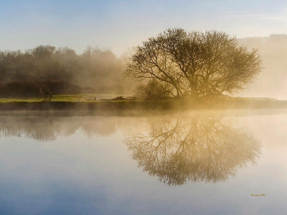 Sunrise Tree Peaceful Wall Art: Nature Photography Landscape Print