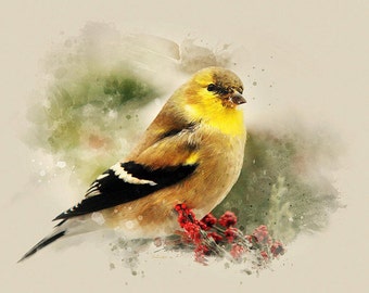 American Goldfinch Wildlife Print Nature Wall Art, Watercolor Bird Vintage Style Pictures of Birds, Bird Lover Gift Yellow Goldfinch Print