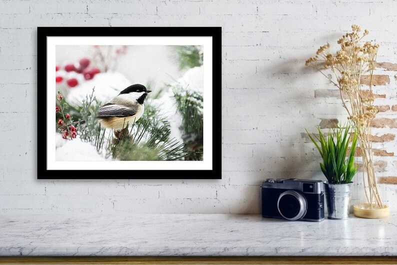 Snowy Chickadee Bird Print Chickadee Wall Art, Winter Bird Photos Christmas Bird Art Gift, Fine