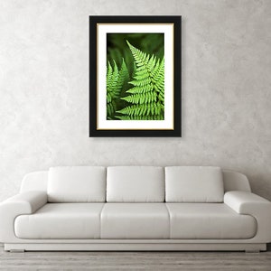 Fern Print Tropical Fern Art Botanical Art Print, Green Fern Leaves Nature Photography Botanical Wall Art, Fine Art Photography Plant Prints image 5