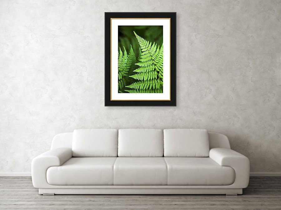 Fern Print Tropical Fern Art Botanical Art Print Green Fern - Etsy