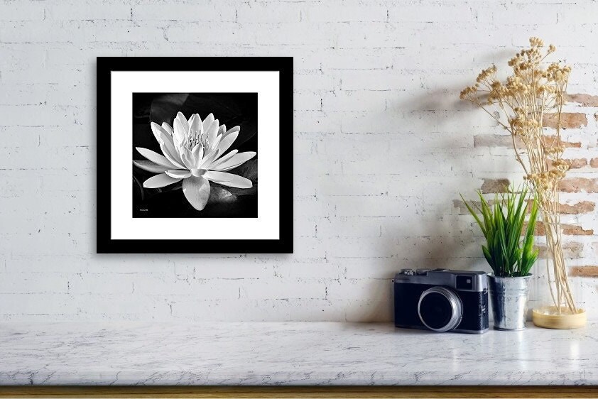 High Key Lily Black and White Floral Nat - Photograph Ebern Designs Format: Unframed, Size: 12 H x 18 W x 0.01 D