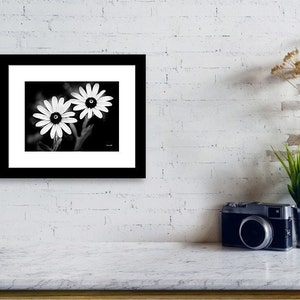May include: Black and white photograph of two white daisies with black centers. The daisies are in focus and the background is blurred.