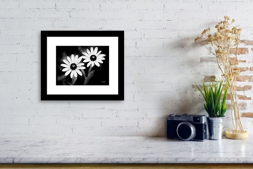 Daisy Black and White Flower Photo Print: Neutral Wildflower