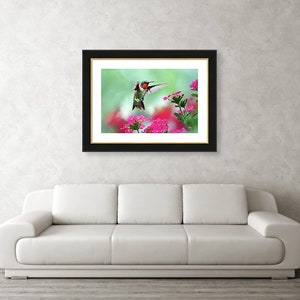 Hummingbird Art Print Fine Art Photography Prints Bird Photography Hummingbird Photos, Wildlife Prints Pink And Green Bird Wall Art Prints image 5