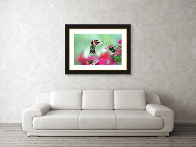 Hummingbird Art Print Fine Art Photography Prints Bird Photography Hummingbird Photos, Wildlife Prints Pink And Green Bird Wall Art Prints image 5