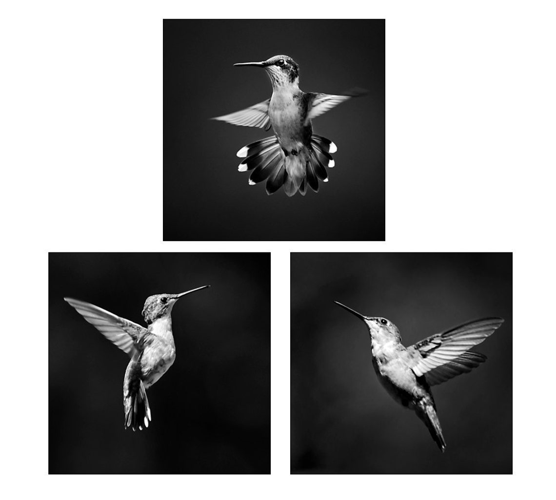 Wall Art Set Any 3 Photo Prints Fine Art Photography Set of 3 Etsy
