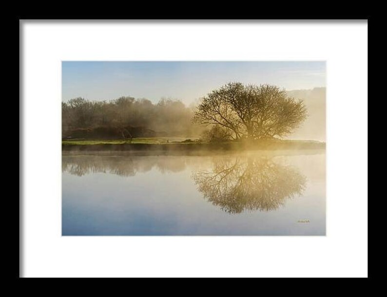 Peut inclure: Un seul arbre se dresse dans un lac, son reflet se refl&eacute;tant dans l'eau calme. L'arbre est silhouett&eacute; contre un ciel bleu brumeux, et l'eau est d'une couleur douce et dor&eacute;e. La sc&egrave;ne est paisible et sereine.