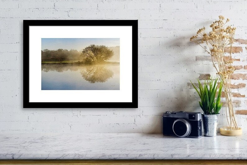 Peut inclure: Une photographie encadr&eacute;e d'un arbre refl&eacute;t&eacute; dans un lac calme. L'arbre est silhouett&eacute; contre un ciel brumeux du matin. L'eau est calme et refl&egrave;te le ciel et l'arbre.