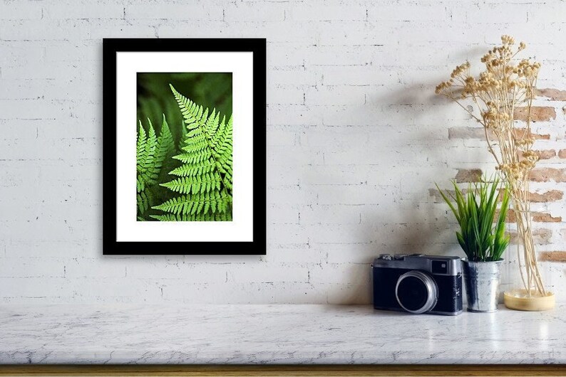 Fern Print Tropical Fern Art Botanical Art Print, Green Fern Leaves Nature Photography Botanical Wall Art, Fine Art Photography Plant Prints image 3