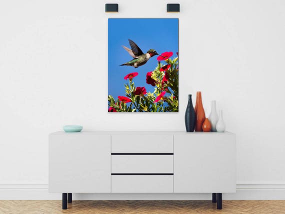 Canvas Wall Art Hummingbird Humming Bird Stretched Canvas Wall Art Hummingbird Humming